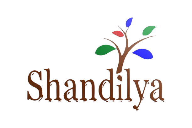 shandilyadecor.com